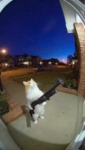 建议截图
