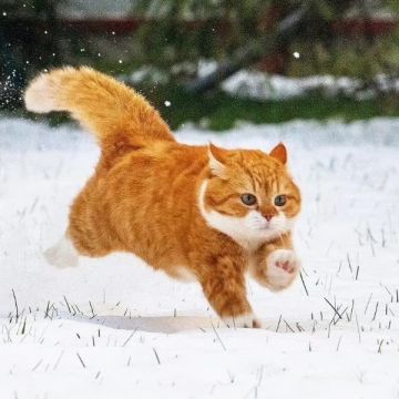 玄女版本PVP宇宙尽头阵容