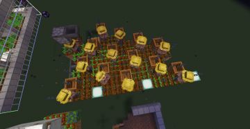 小麦/甜菜根单片