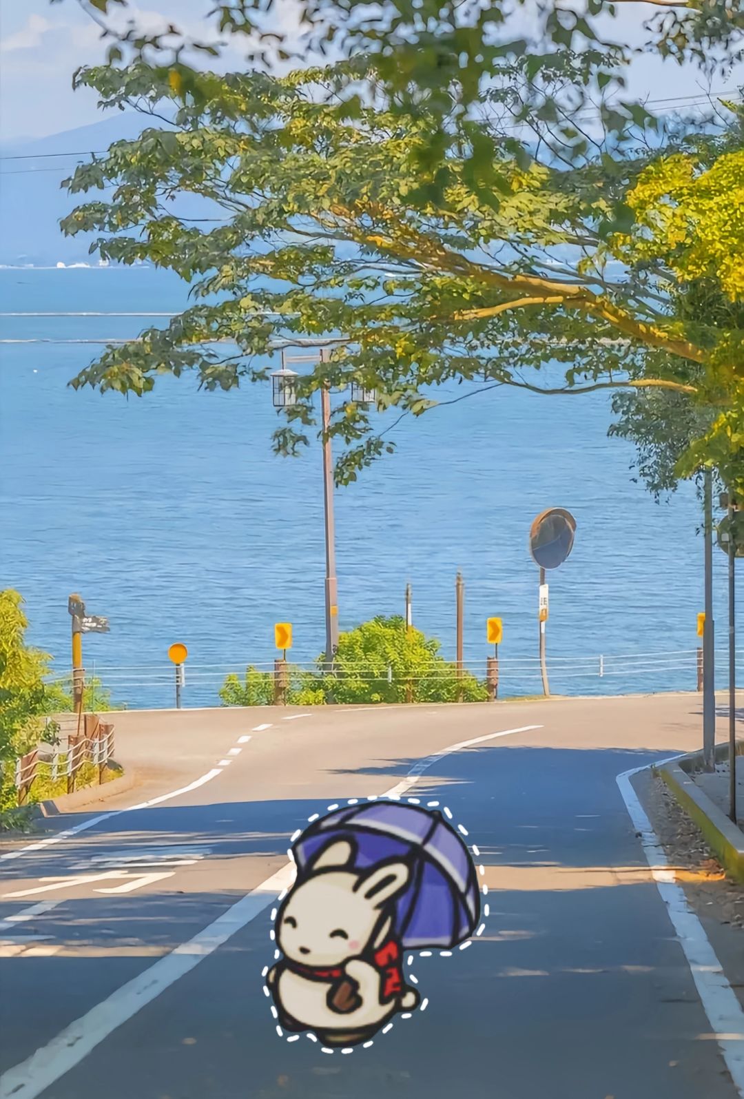 可爱の兔兔 3