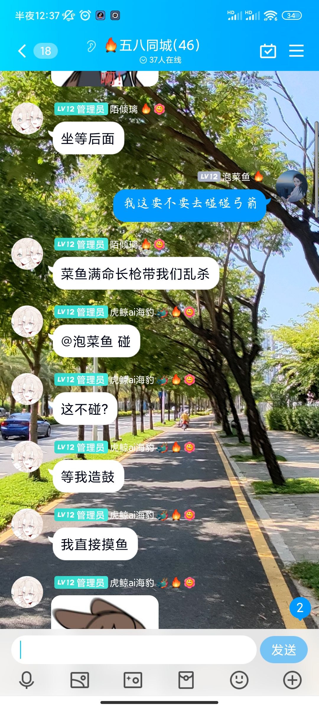 动态图片 2