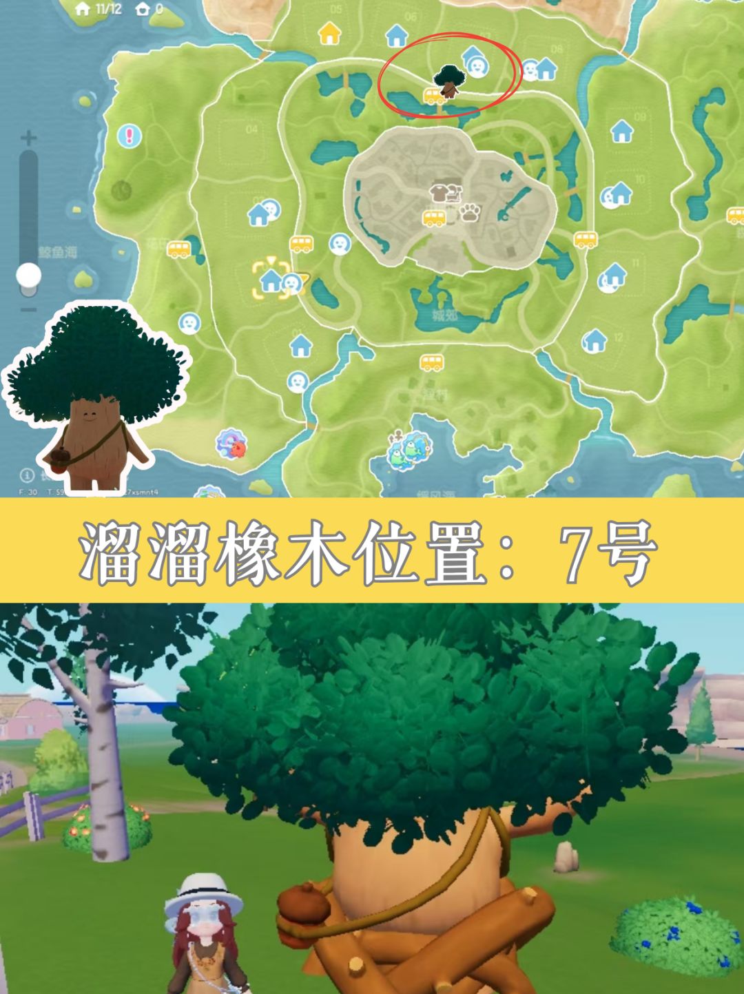 8.16小镇速报丨今日萤石橡木位置 2