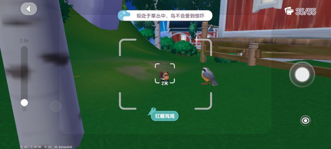 补观鸟ing 2