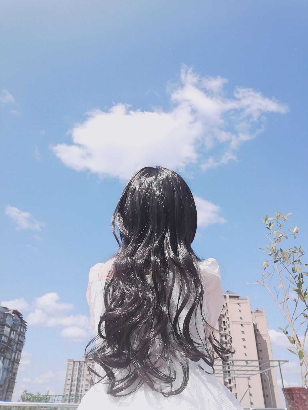 更新一下写真照 2