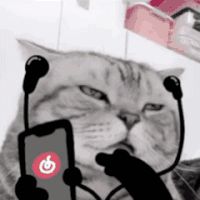 没有火环玩我要死了截图