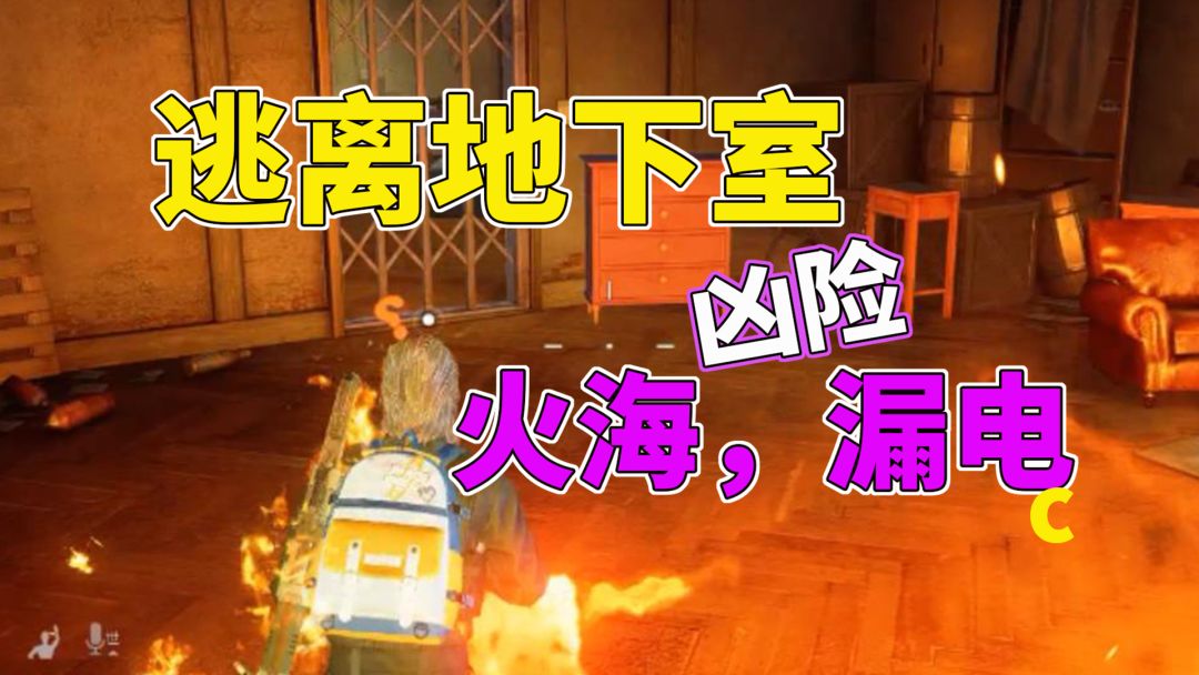 video-3392031