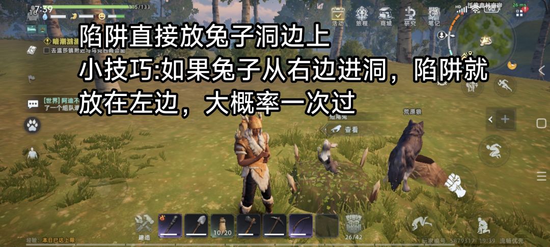 活动 萌宠赛道之我抓兔子的过程 3