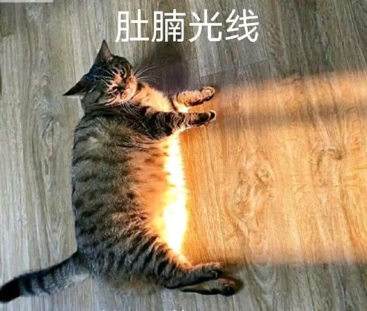 奖励拿到手了截图