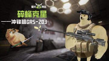 碎蜂大人！时代变了！冲锋狙GRS-203即将登场！
