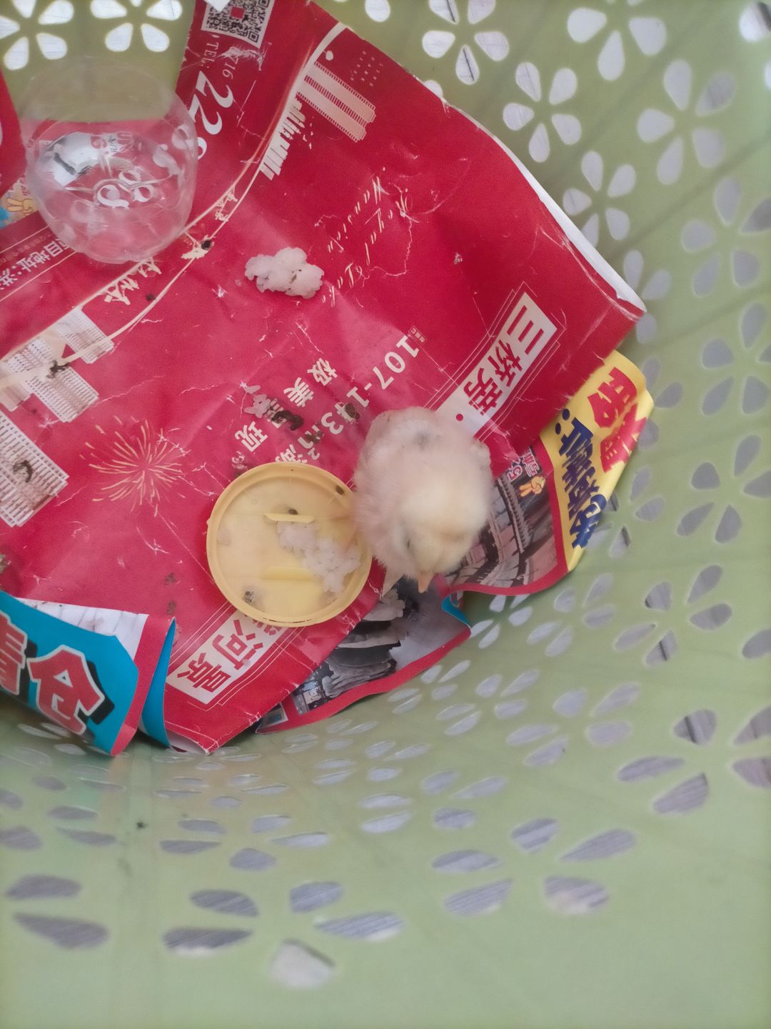 动态图片 3