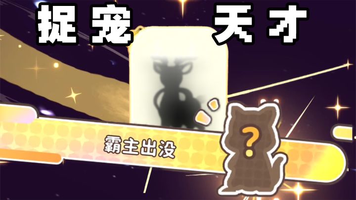 难道我是捉宠天才?截图