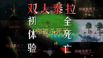 双人泰拉！下饭日常操作！死亡高燃片段！