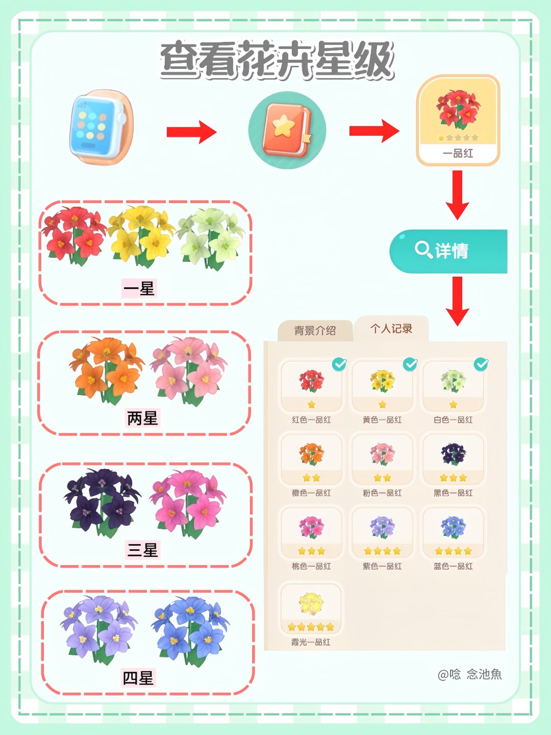 心动小镇一品红杂交繁育攻略 2