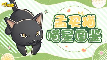 喵星图鉴丨孟买猫（内含福利）