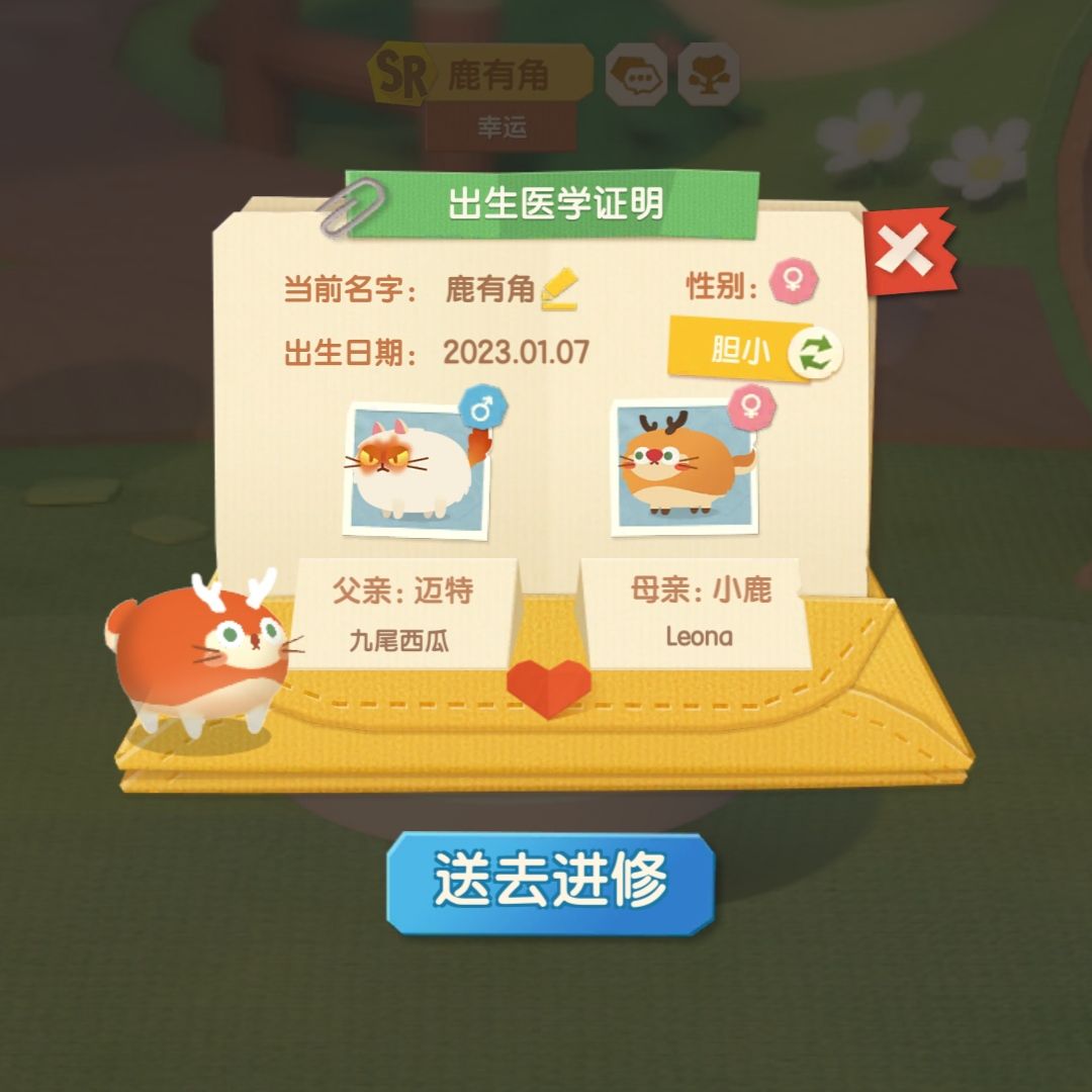 动态图片 4