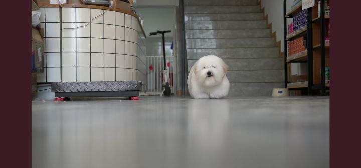 衣服怎么总是少,被去世的带走了?截图
