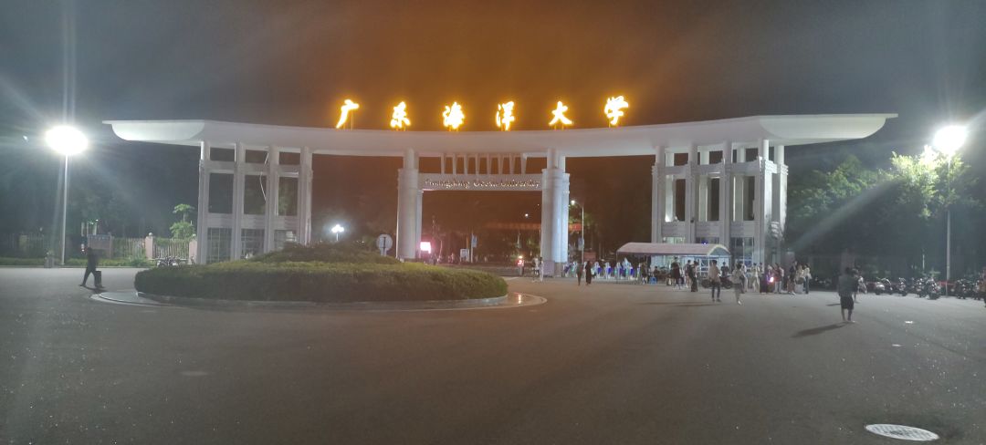 老人想回归 1