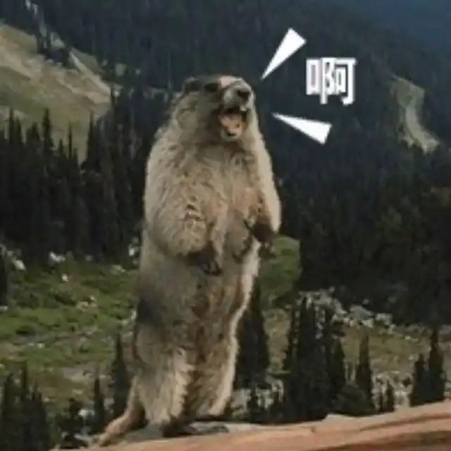 🙉我一直以为锁t10装备那个属性，提示消耗的石头是告诉我刷新涨价了，结果是真的花出去了，解锁的时候一点提示没有，来回点十几个石头就出去了[表情_嫌弃]截图