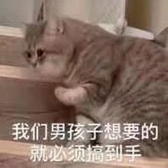 大佬们填一下密令🥳 1