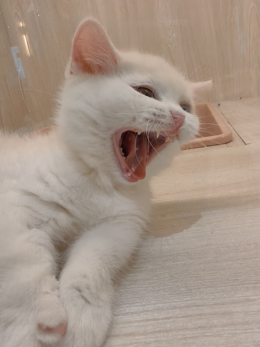 互访加好友 2