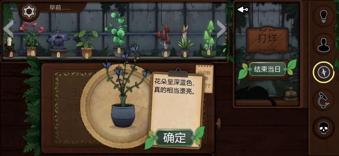 记录一些个人比较喜欢或觉得有意思的植物 9