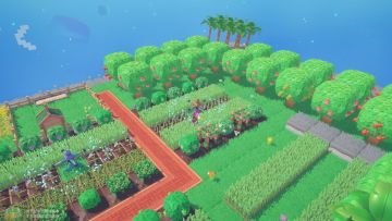 🍀想念我果园的第1717次🍀