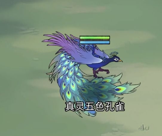 动态图片 9