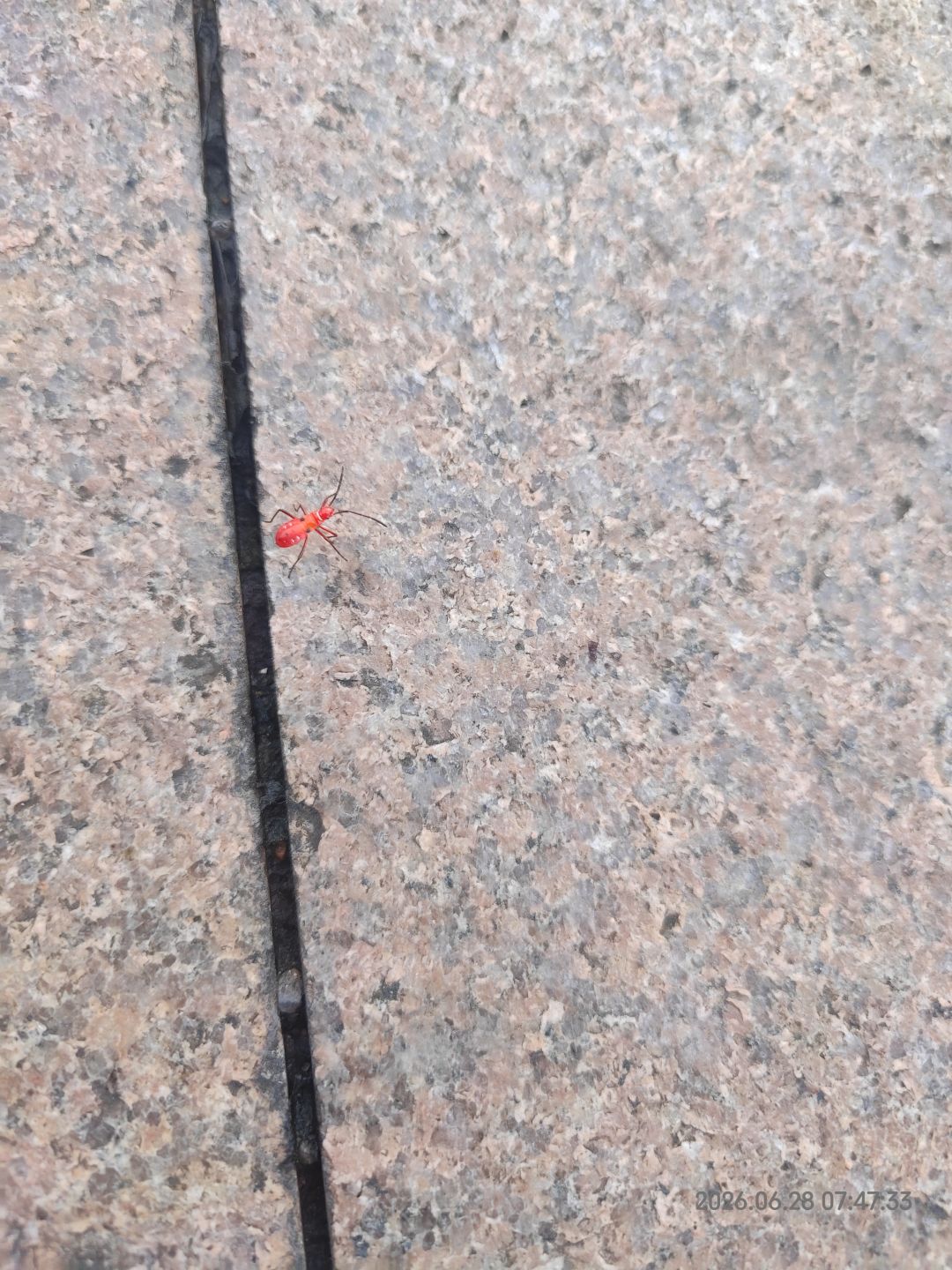 使用红魔一年后,总结一下使用感受 2