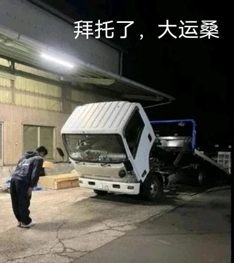 赞美愚者截图