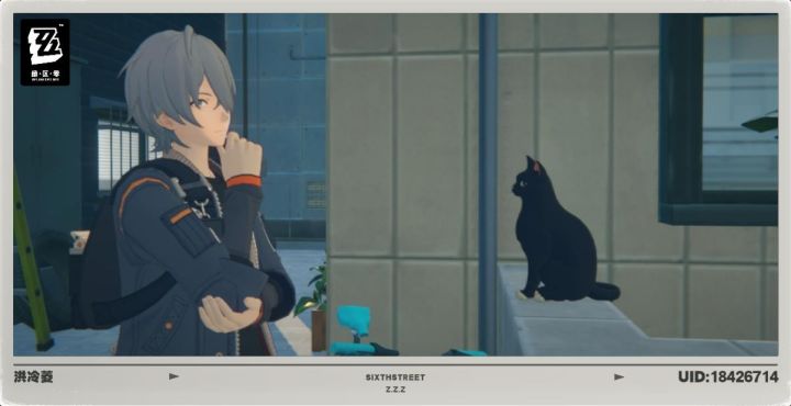哥哥和猫猫好像截图