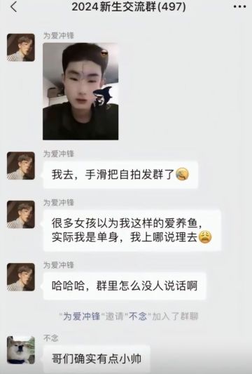 新区614 已上线！萌新福利大全！