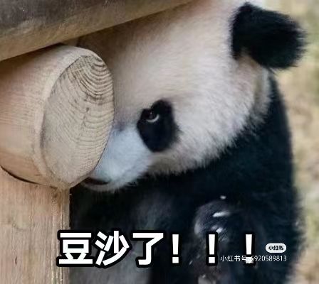 内测玩家给官方提点建议 1