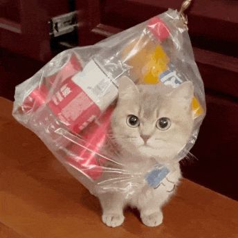 问一下哈截图