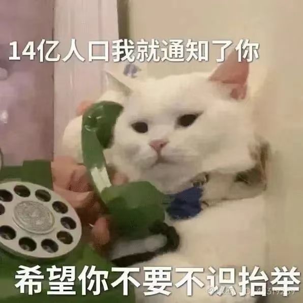 芙烈达推不推荐拉满命?截图
