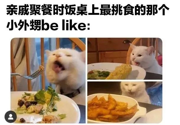 今日份梗图分享 1