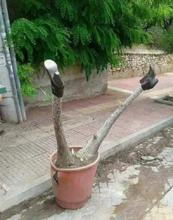 抽完了 5
