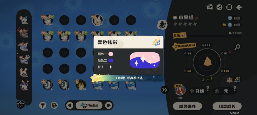 值钱的4奖牌小黑猫 3