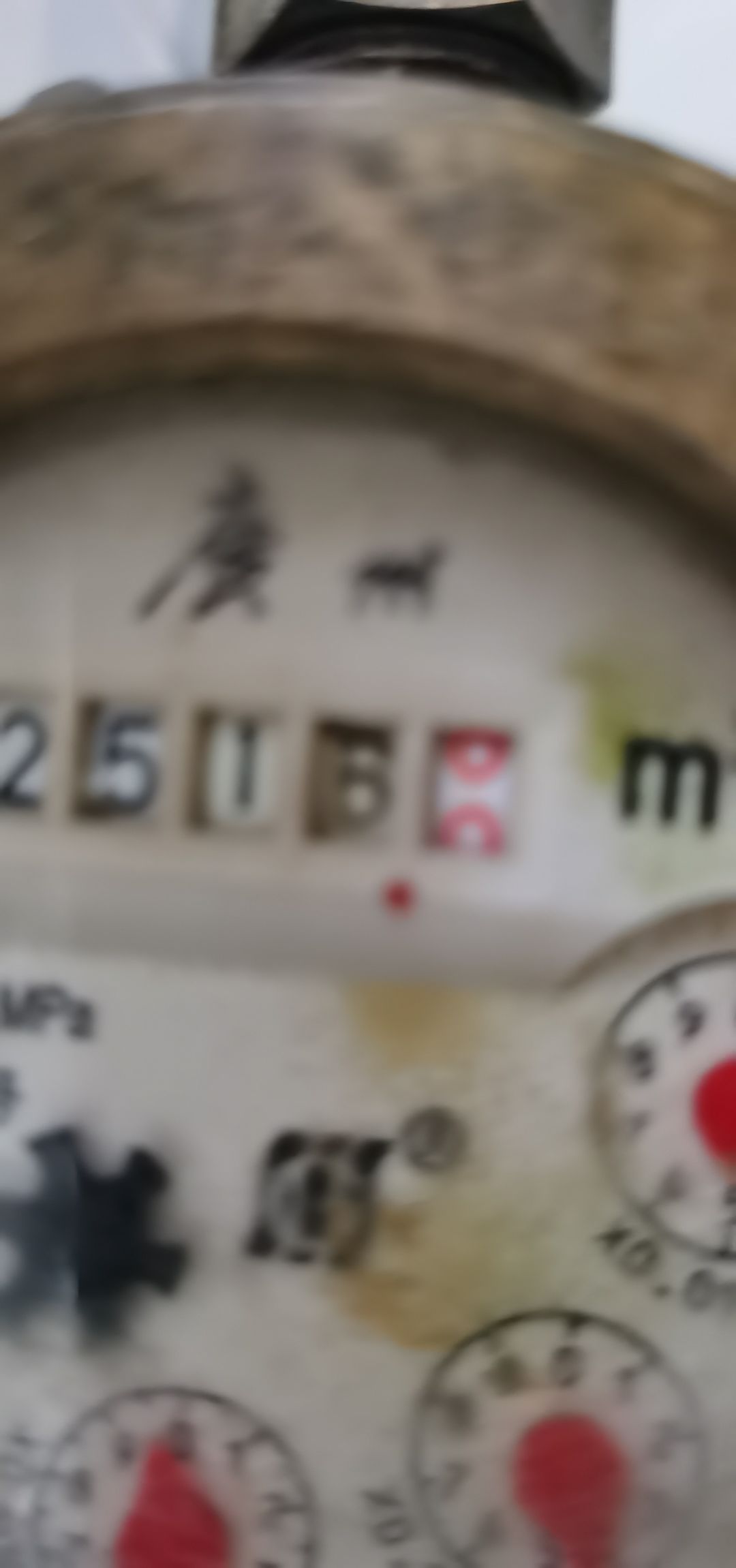 动态图片 17