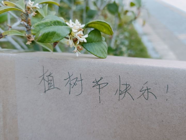 植树节快乐!截图