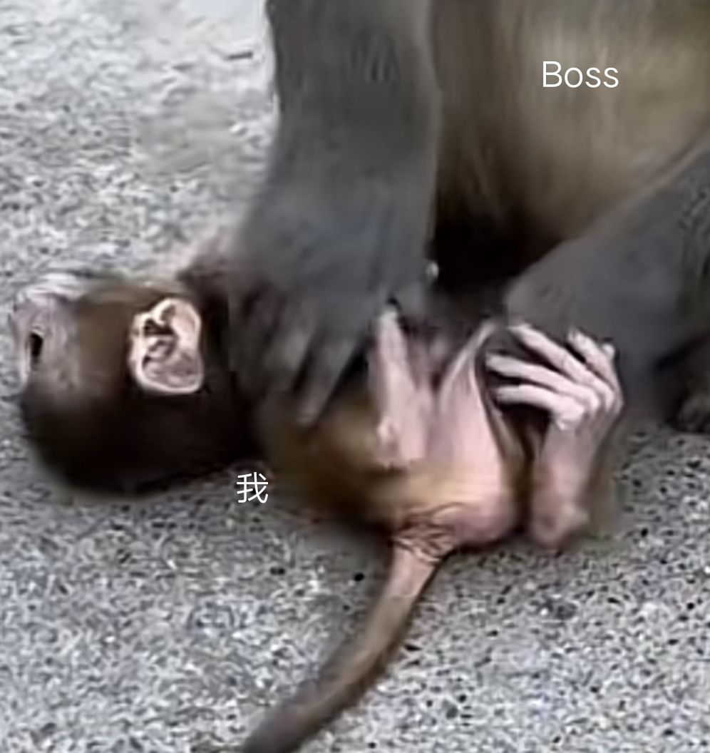 想打但打不了 2