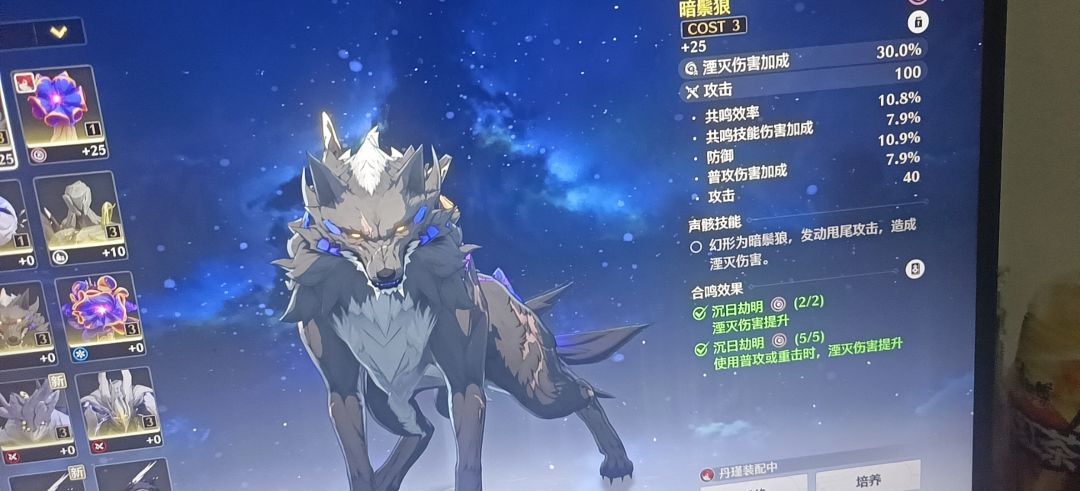 为了丹瑾我已经头昏眼花了 2