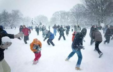 【府衙闲谈】岁暮天寒，冬日可爱！