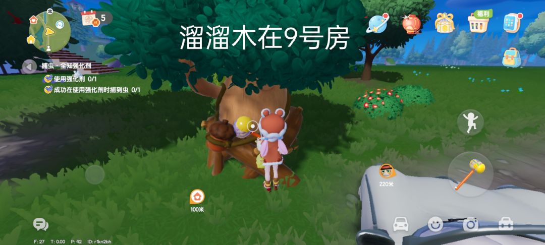 2月11日萤石和溜溜木位置以及兑换码 2