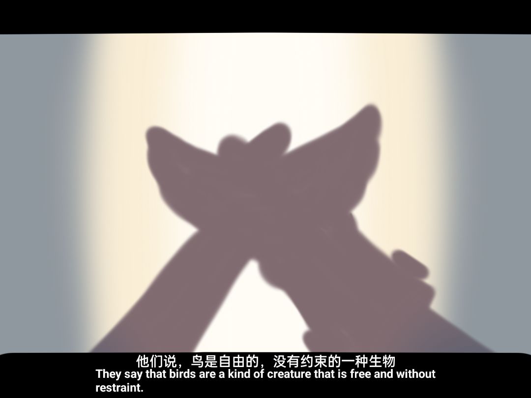 【Bird】截图