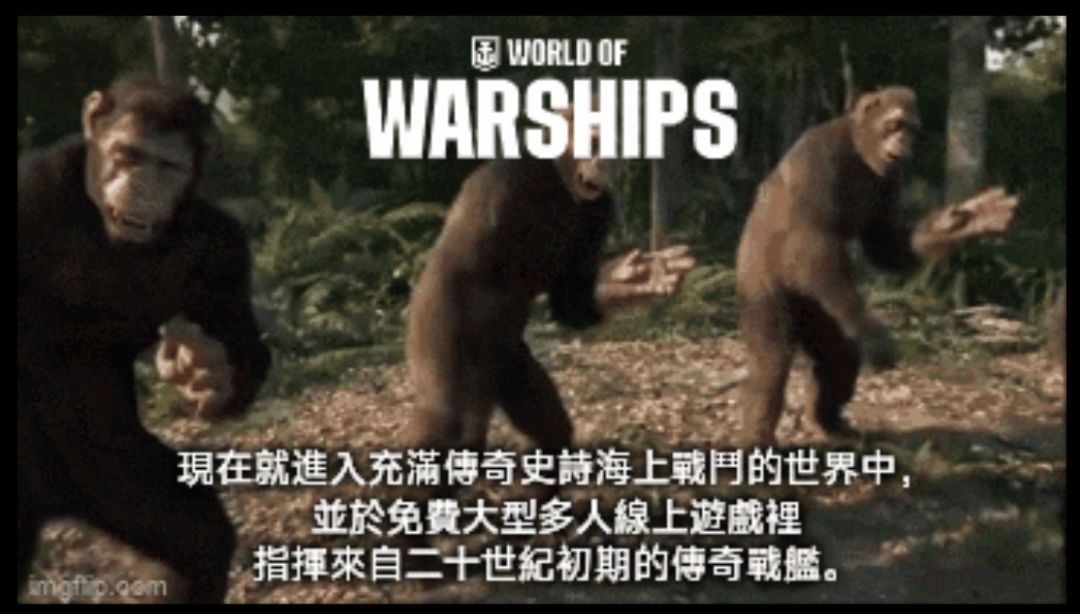 我的百分之一 1