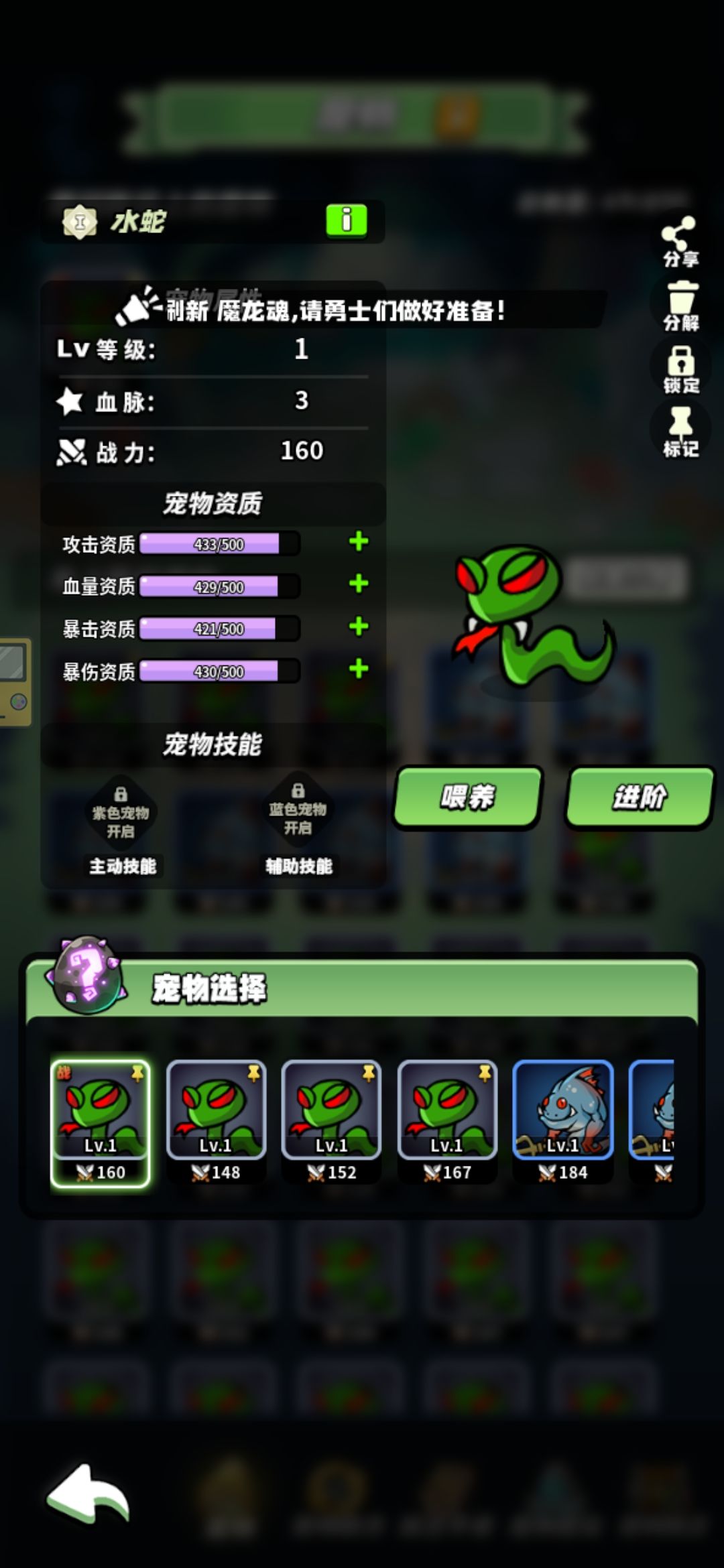宠物分享 1