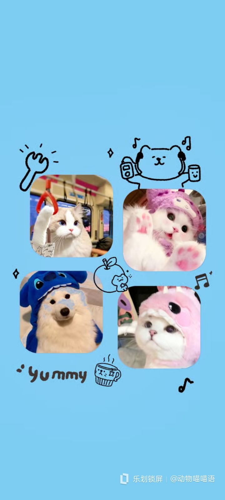 好狗儿子回来了 2