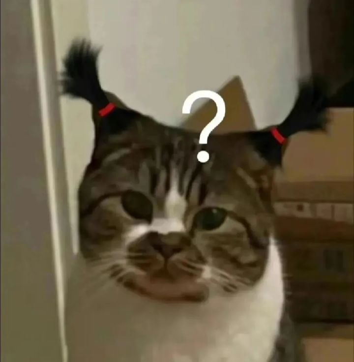 可爱猫咪就是广告太多了截图
