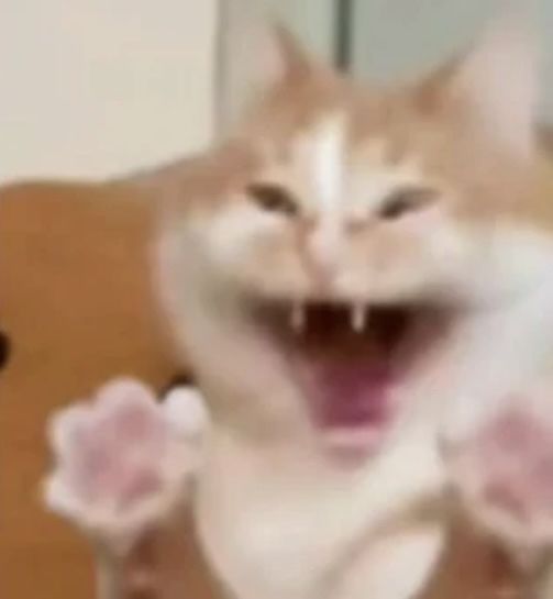 话说 1