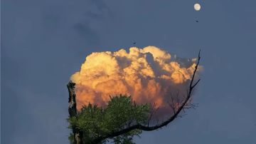 觉醒角色与技能推荐